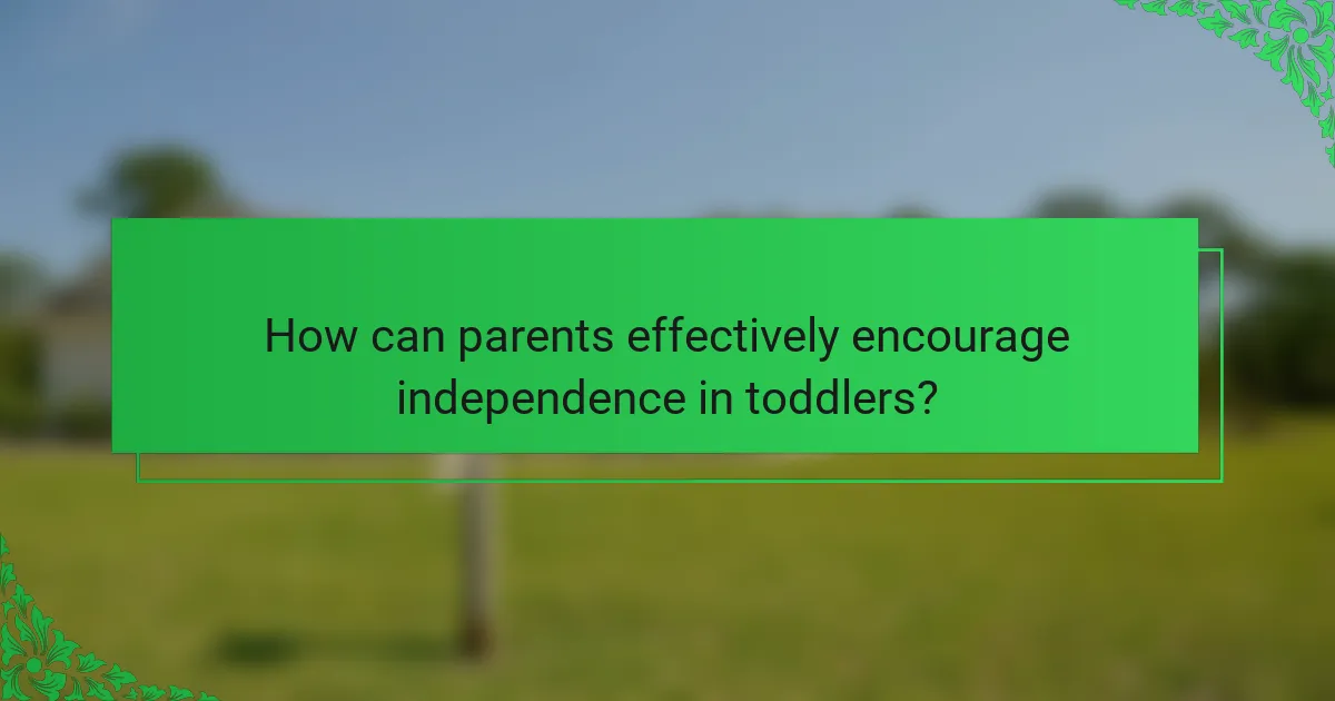How can parents effectively encourage independence in toddlers?