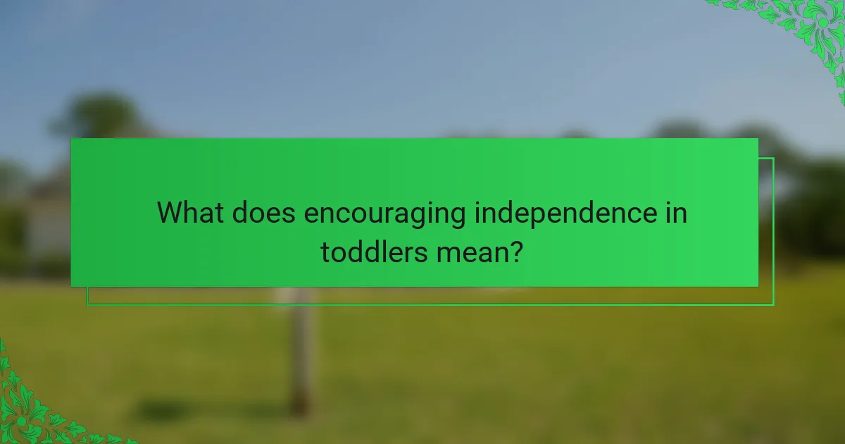 What does encouraging independence in toddlers mean?