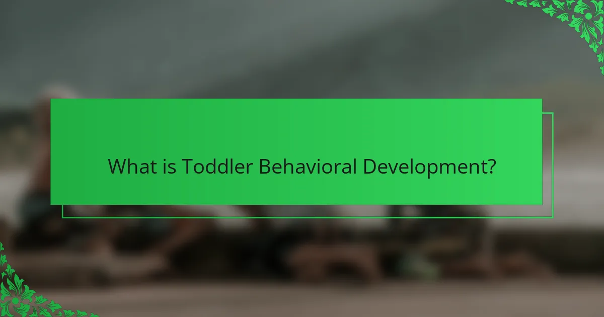 What is Toddler Behavioral Development?